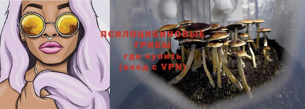 Альфа ПВП Пересвет
