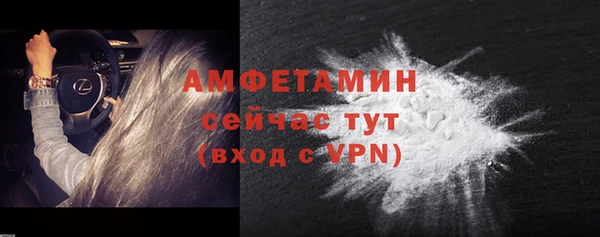 прущие грибы Пестово