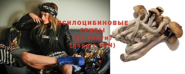 прущие грибы Пестово