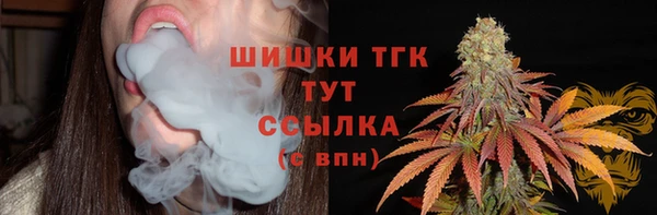 Альфа ПВП Пересвет