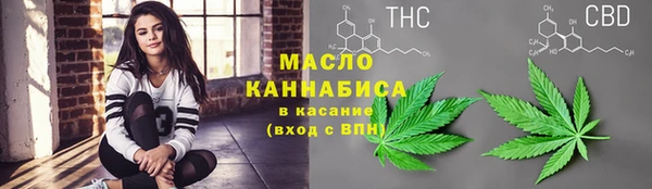 Альфа ПВП Пересвет