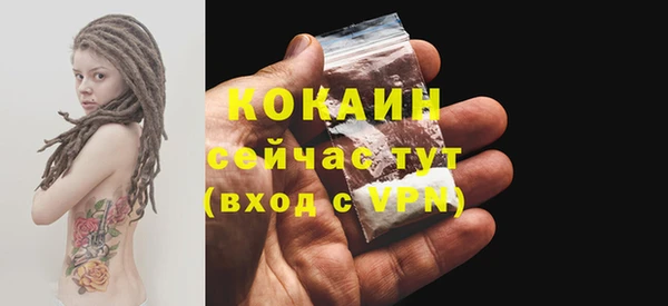 Альфа ПВП Пересвет