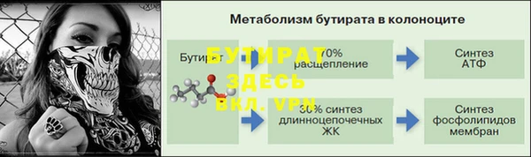 прущие грибы Пестово