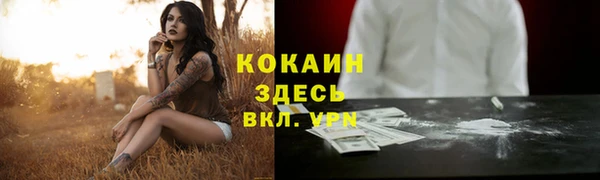 прущие грибы Пестово