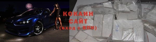 прущие грибы Пестово