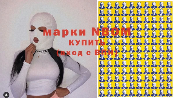 прущие грибы Пестово