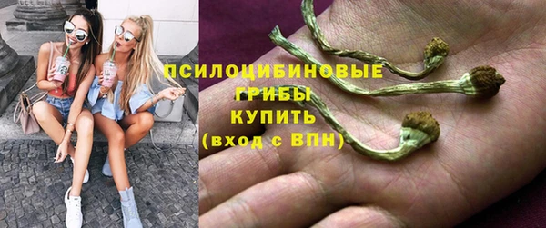 apvp Переславль-Залесский