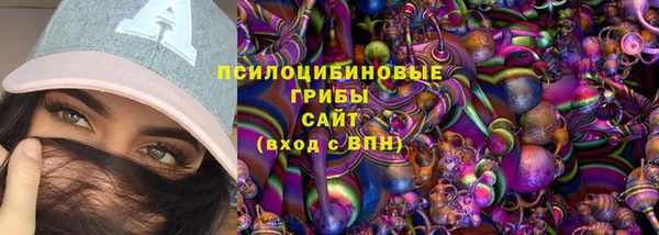 apvp Переславль-Залесский