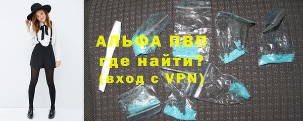 прущие грибы Пестово