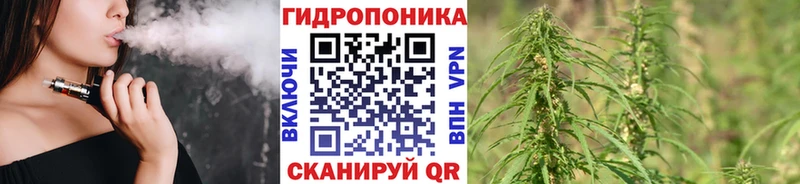 Канабис Ganja  Купить закладки  Александровское 